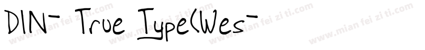 DIN-中True Type(Wes字体转换